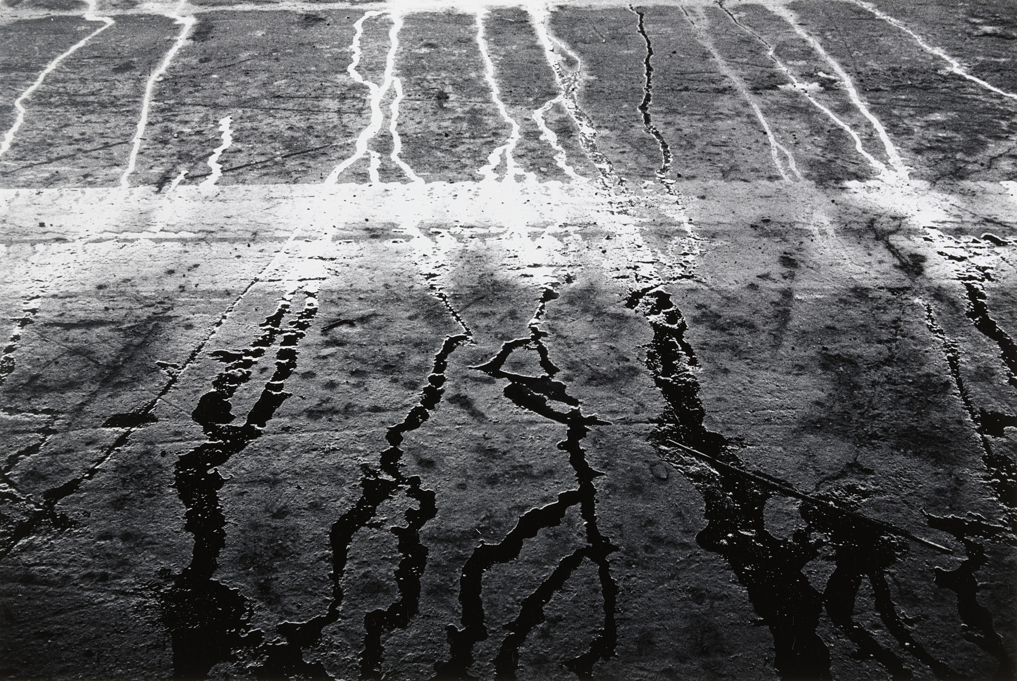 Joseph Dankowski. Gutter