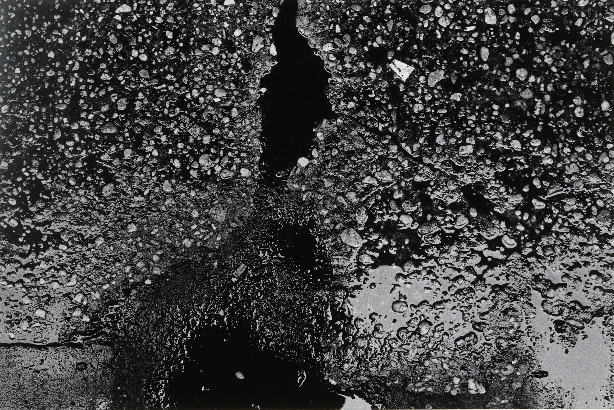 Joseph Dankowski. Gutter