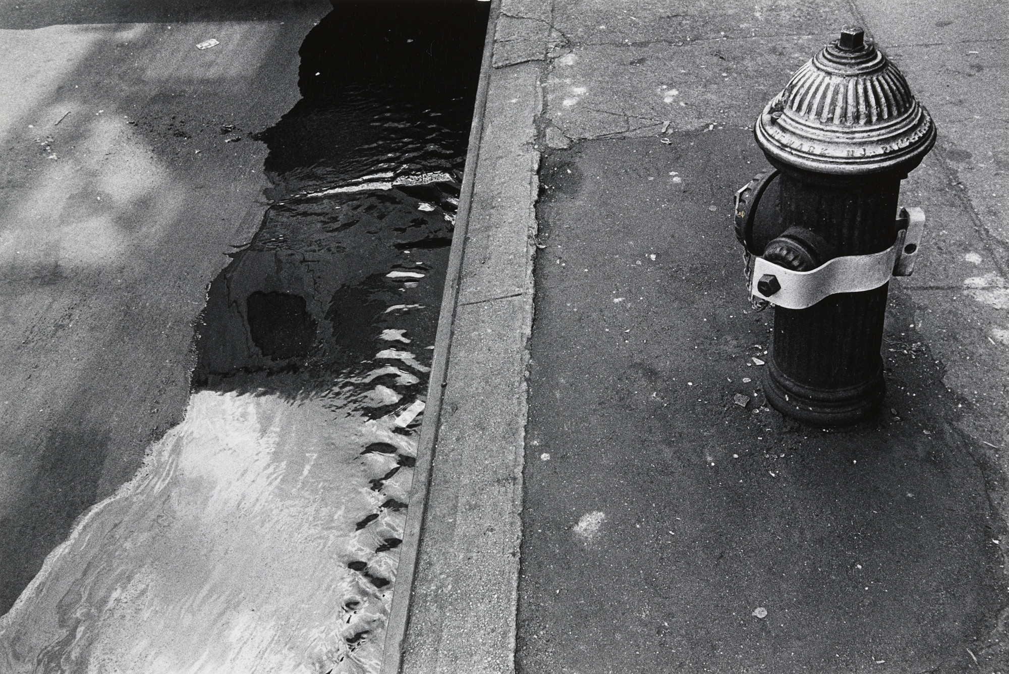 Joseph Dankowski. Gutter