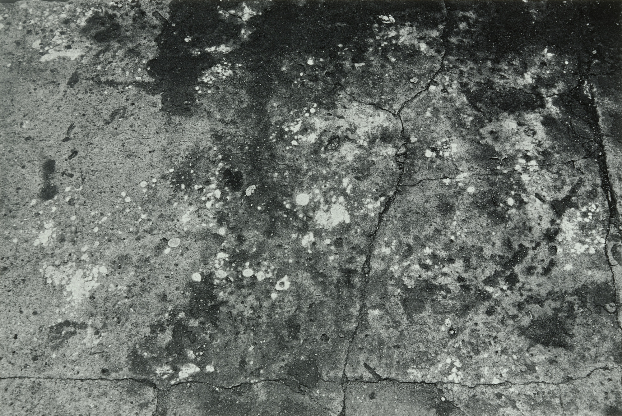 Joseph Dankowski. Gutter
