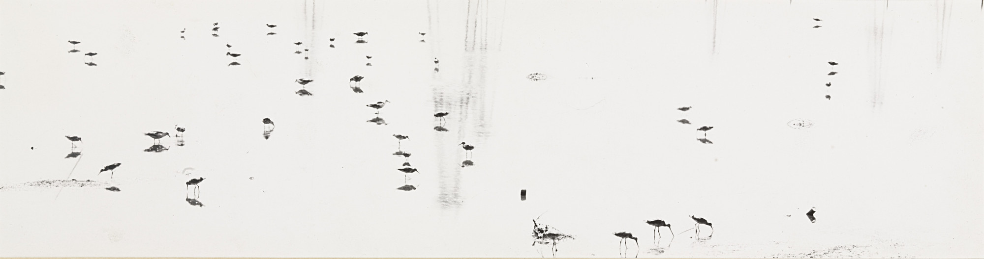 Shirley C. Burden. Untitled. c. 1958