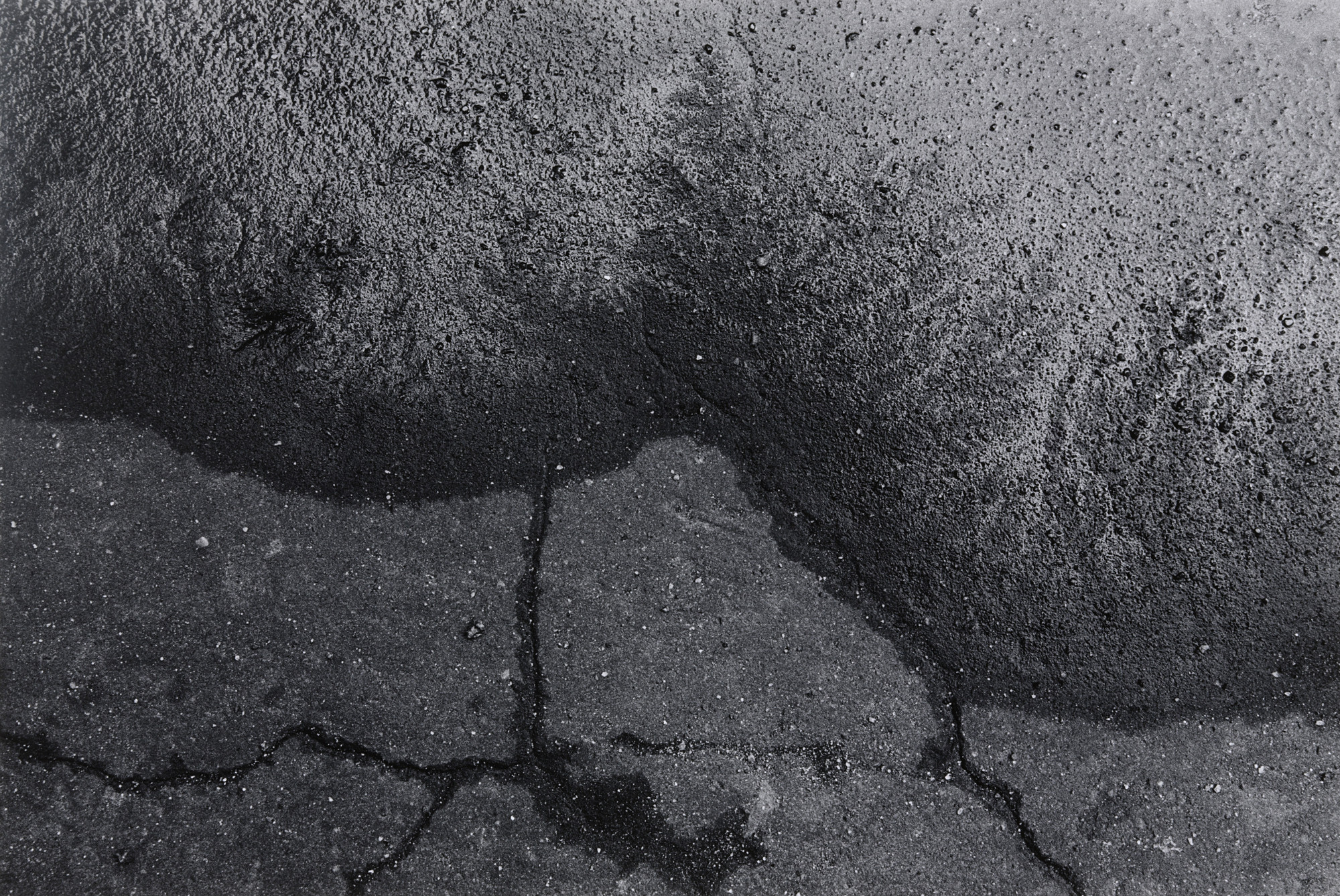 Joseph Dankowski. Gutter