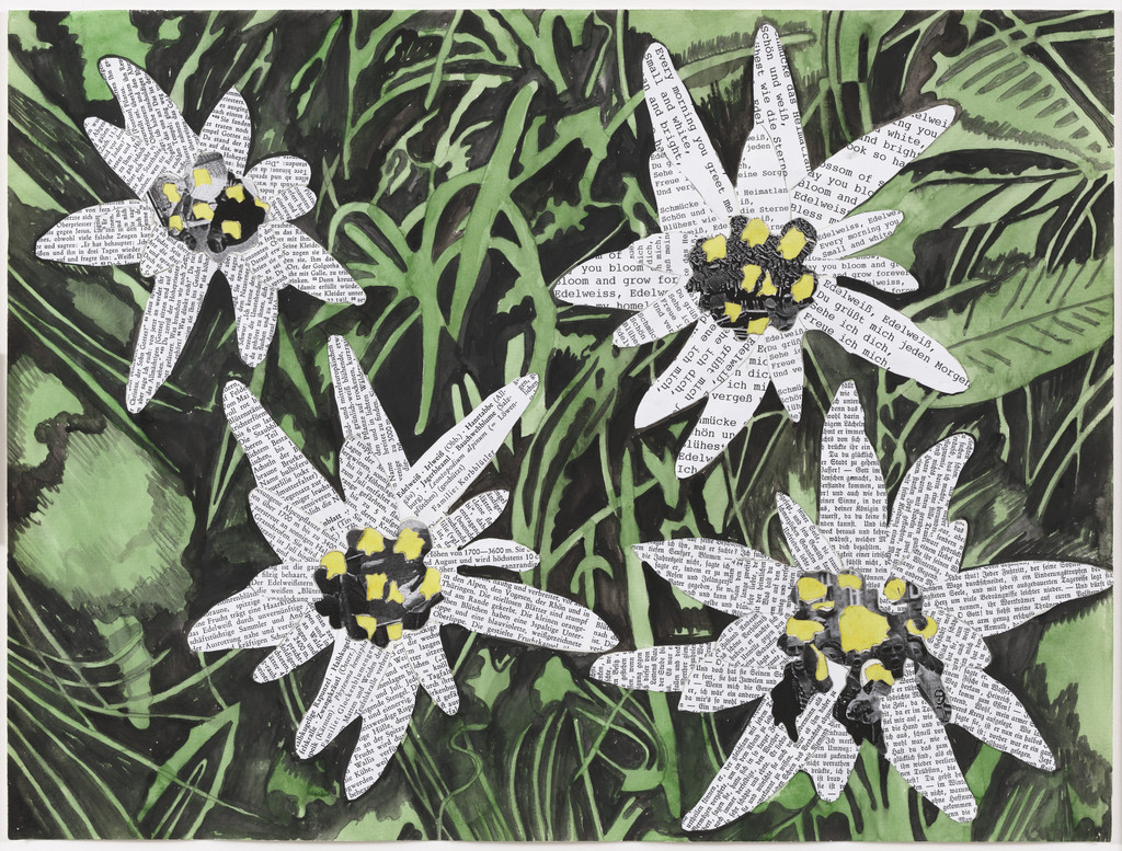 Edelweisspiraten (Edelweiss Pirates)