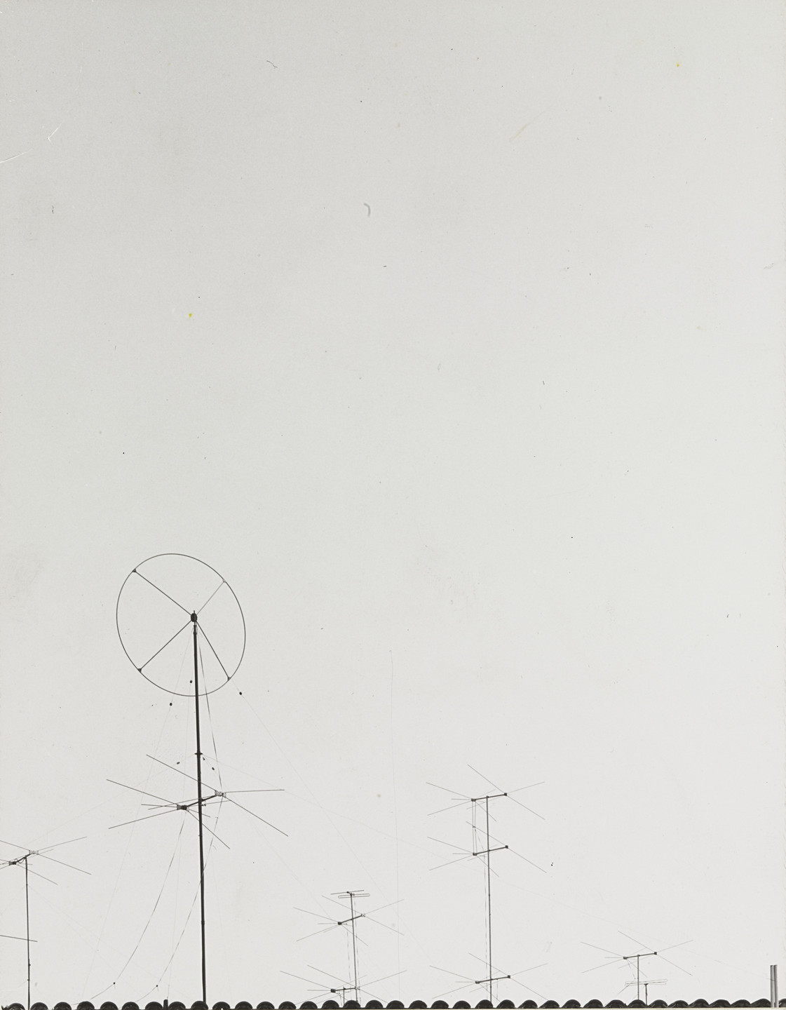 Shirley C. Burden. Untitled. 1955