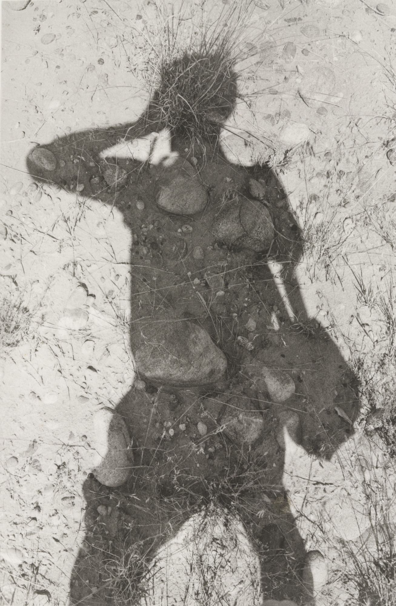 Lee Friedlander. Canyon de Chelly, Arizona. 1983 | MoMA