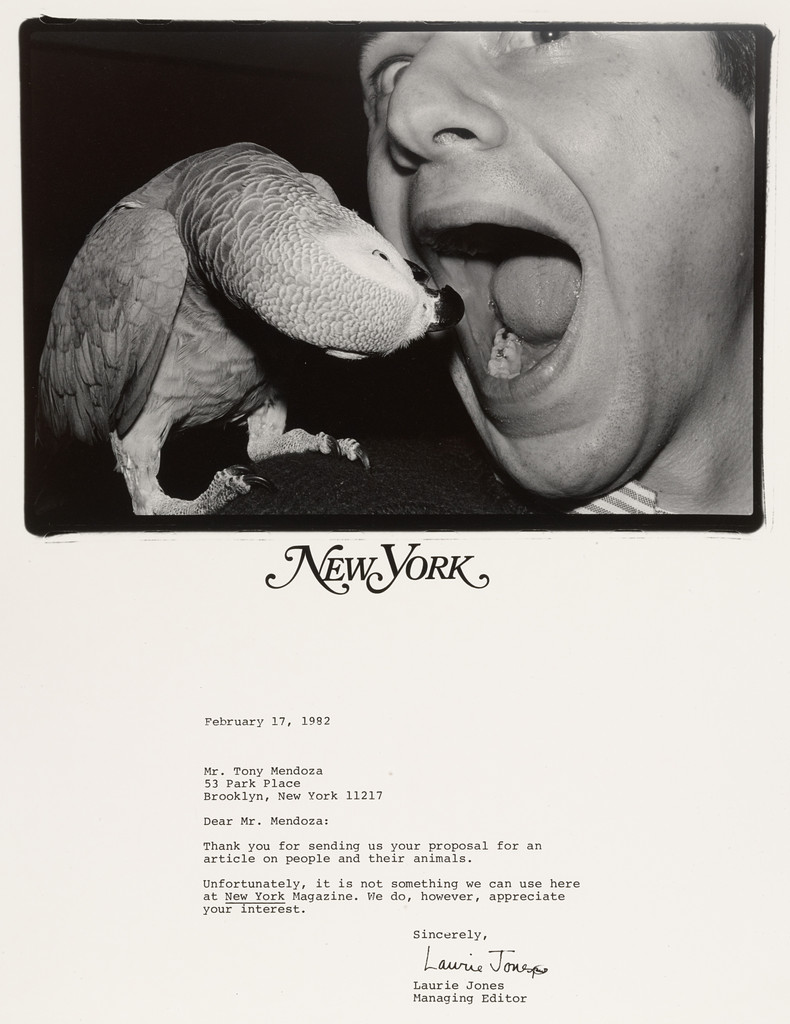 "New York"