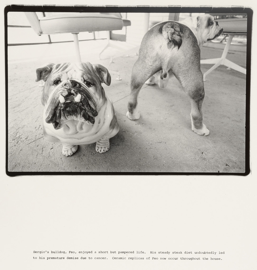 Sergio's bulldog, Feo, enjoyed a short but pampered life