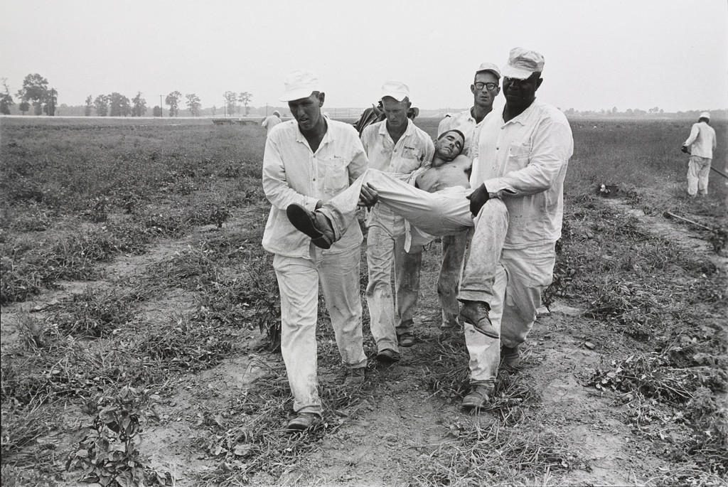Heat Exhaustion, Ellis Unit, Texas
