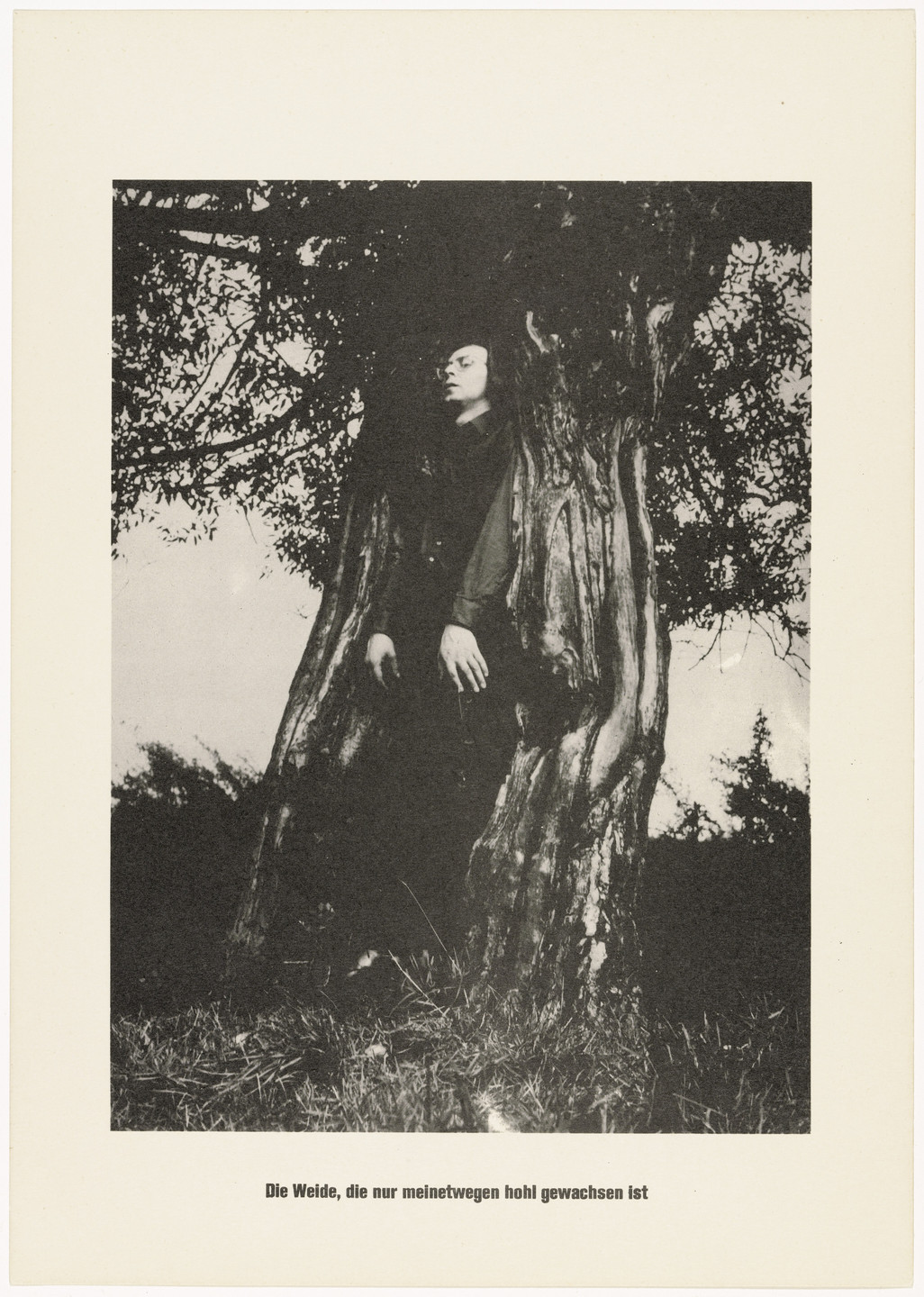 Sigmar Polke, Christof Kohlhöfer. The Tree, For My Sake, Has Grown Up Hollow (Der Baum, der meinetwegen hohl gewachsen ist) from .....Higher Beings Ordain (.....Höhere Wesen befehlen). 1968