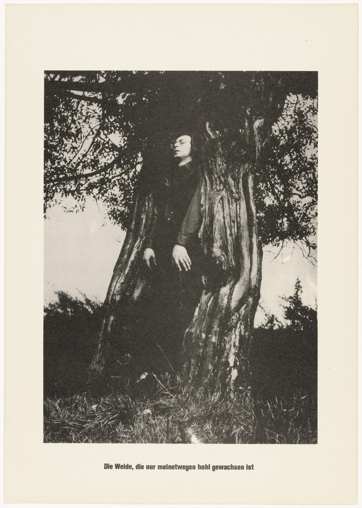 The Tree, For My Sake, Has Grown Up Hollow (Der Baum, der meinetwegen hohl gewachsen ist) from .....Higher Beings Ordain (.....Höhere Wesen befehlen)