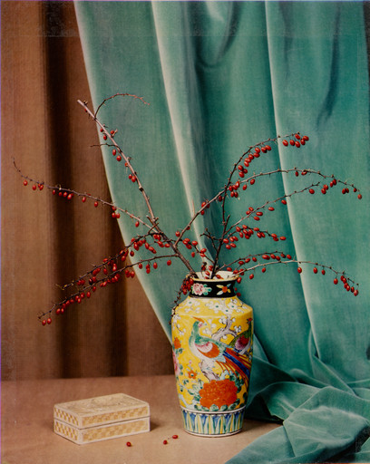 Winter Berries