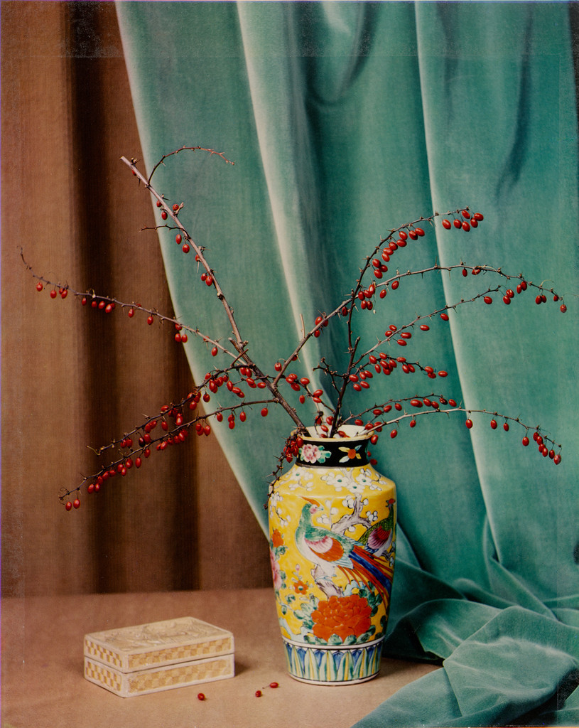 Winter Berries