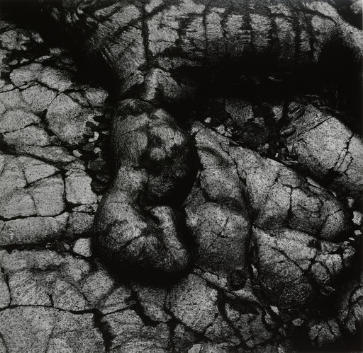 Aaron Siskind | MoMA