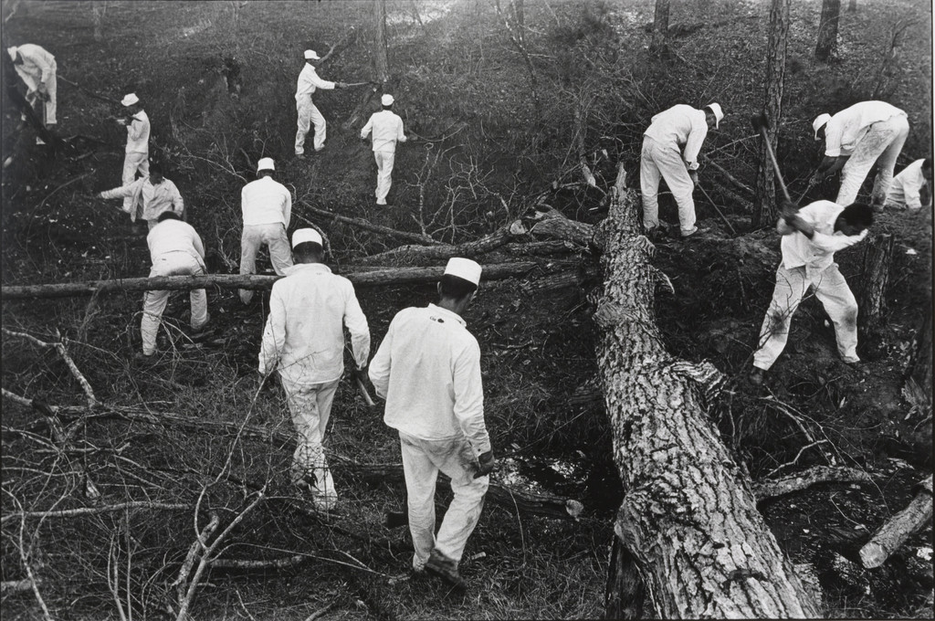 Clearing Land, Ellis Unit, Texas