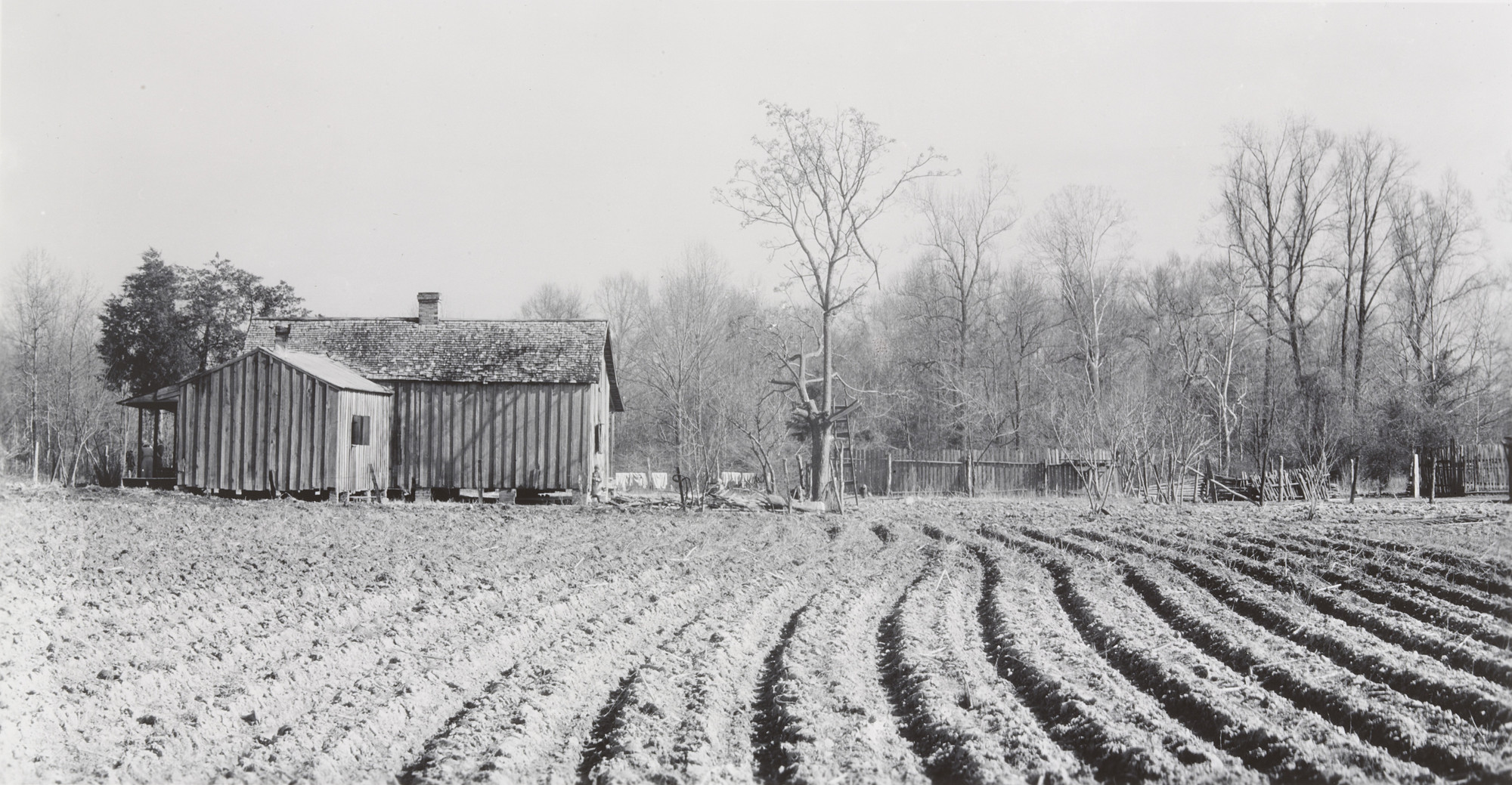 Walker Evans. Mississippi Land. 1936