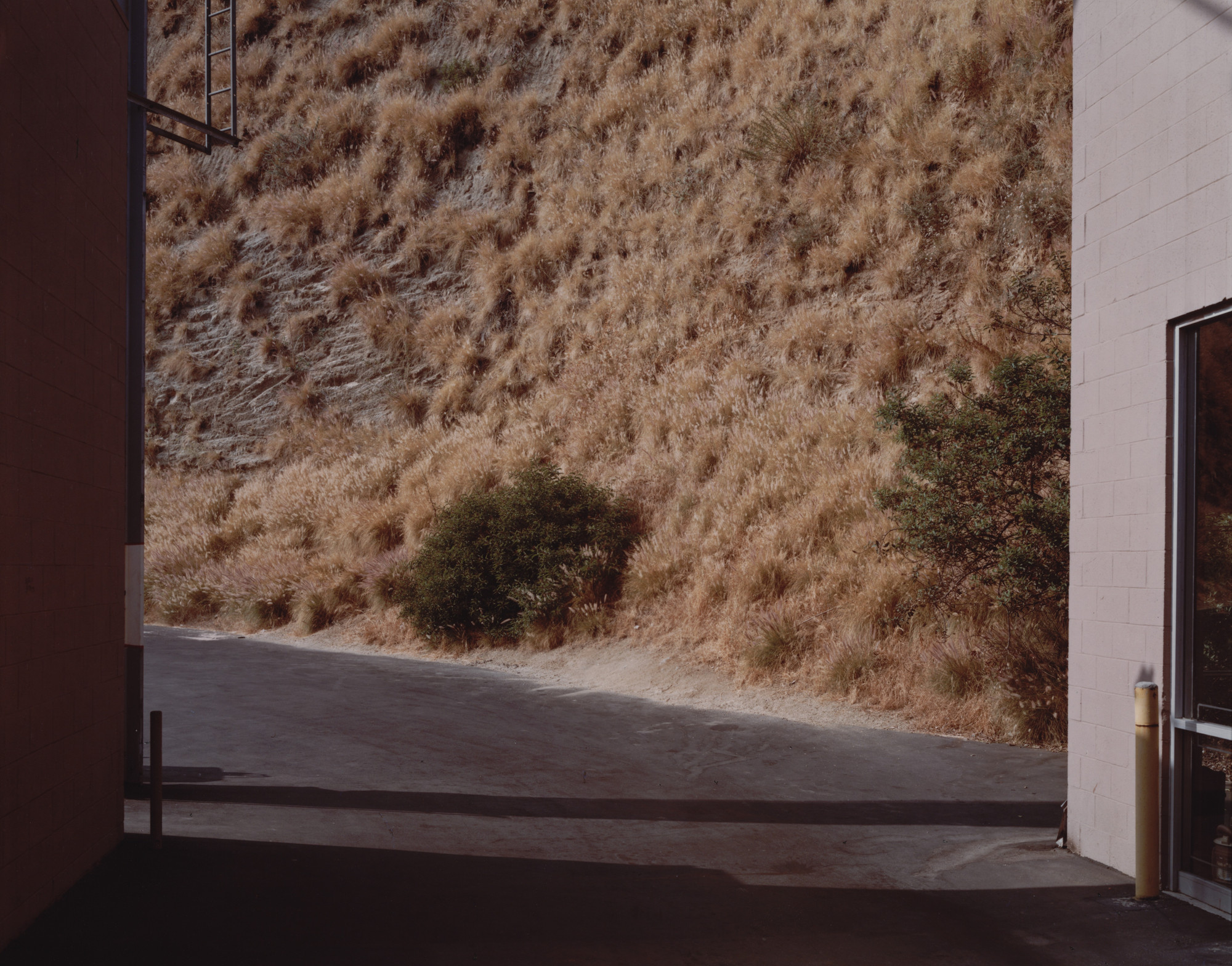 Stephen Shore. Alley off Sunset Strip, Hollywood, California, June 22, 1975