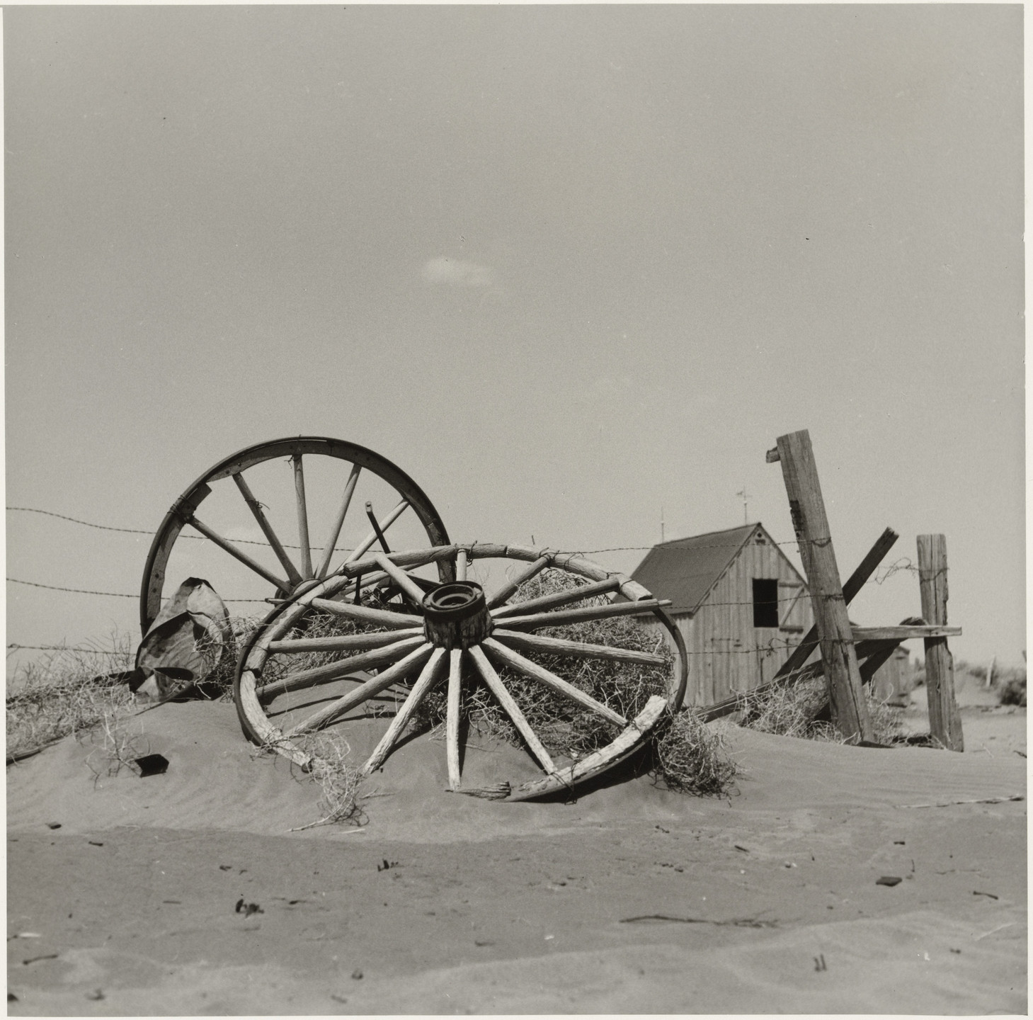 Arthur Rothstein. An Abandoned Farm, Cimarron County, Oklahoma. April 1936