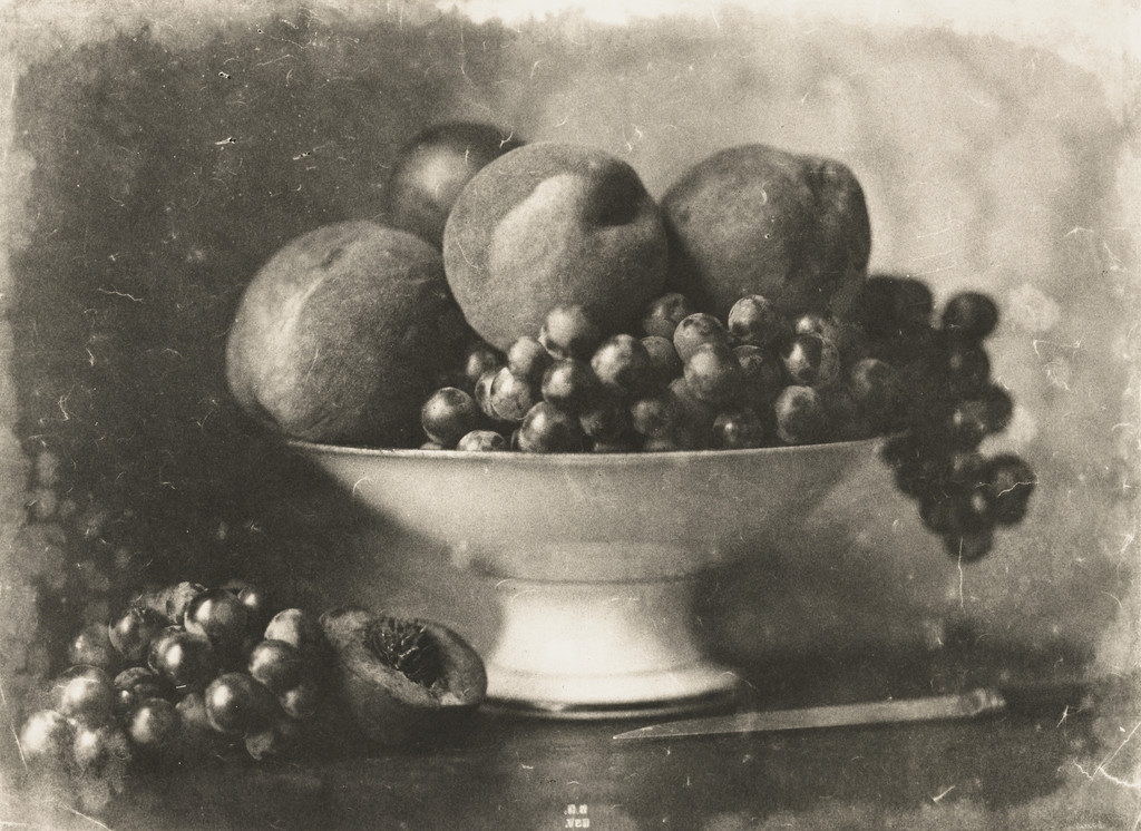 Still Life