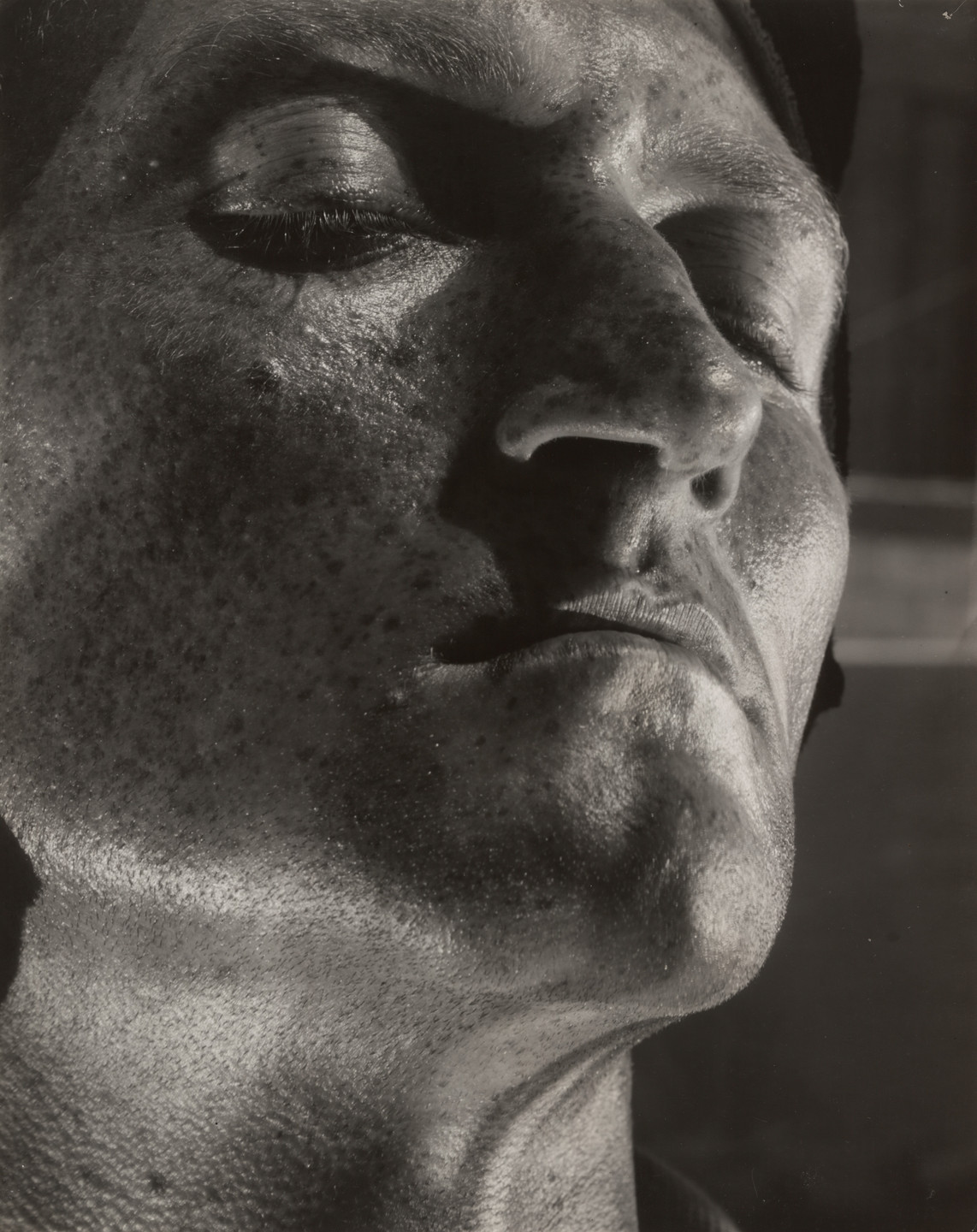 Helmar Lerski. Metamorphosis 573. 1936