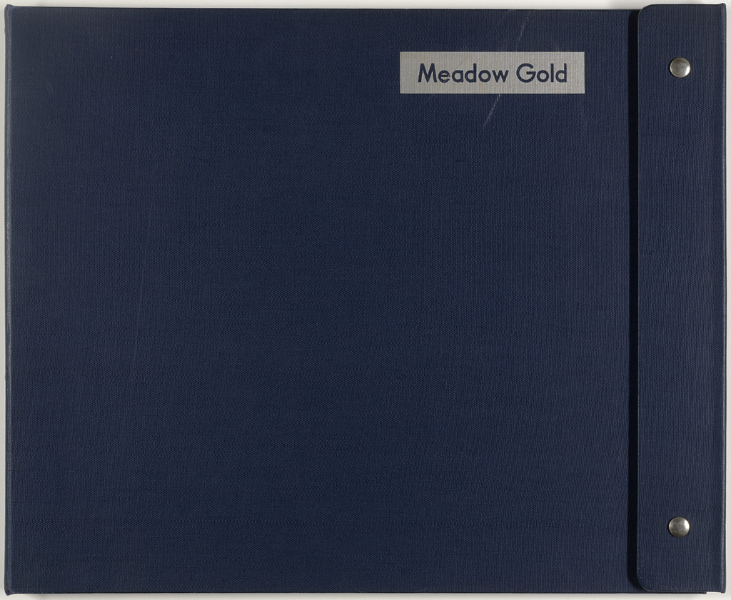 Meadow Gold: Comprehensive Point of Sale Program