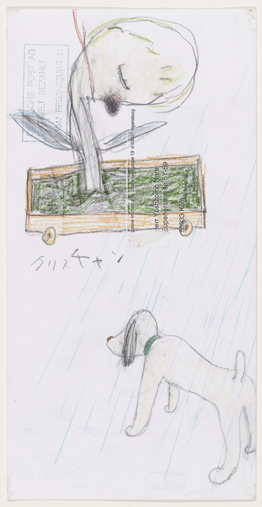 Untitled (Plant and dog in the rain) from the series Time of My Life