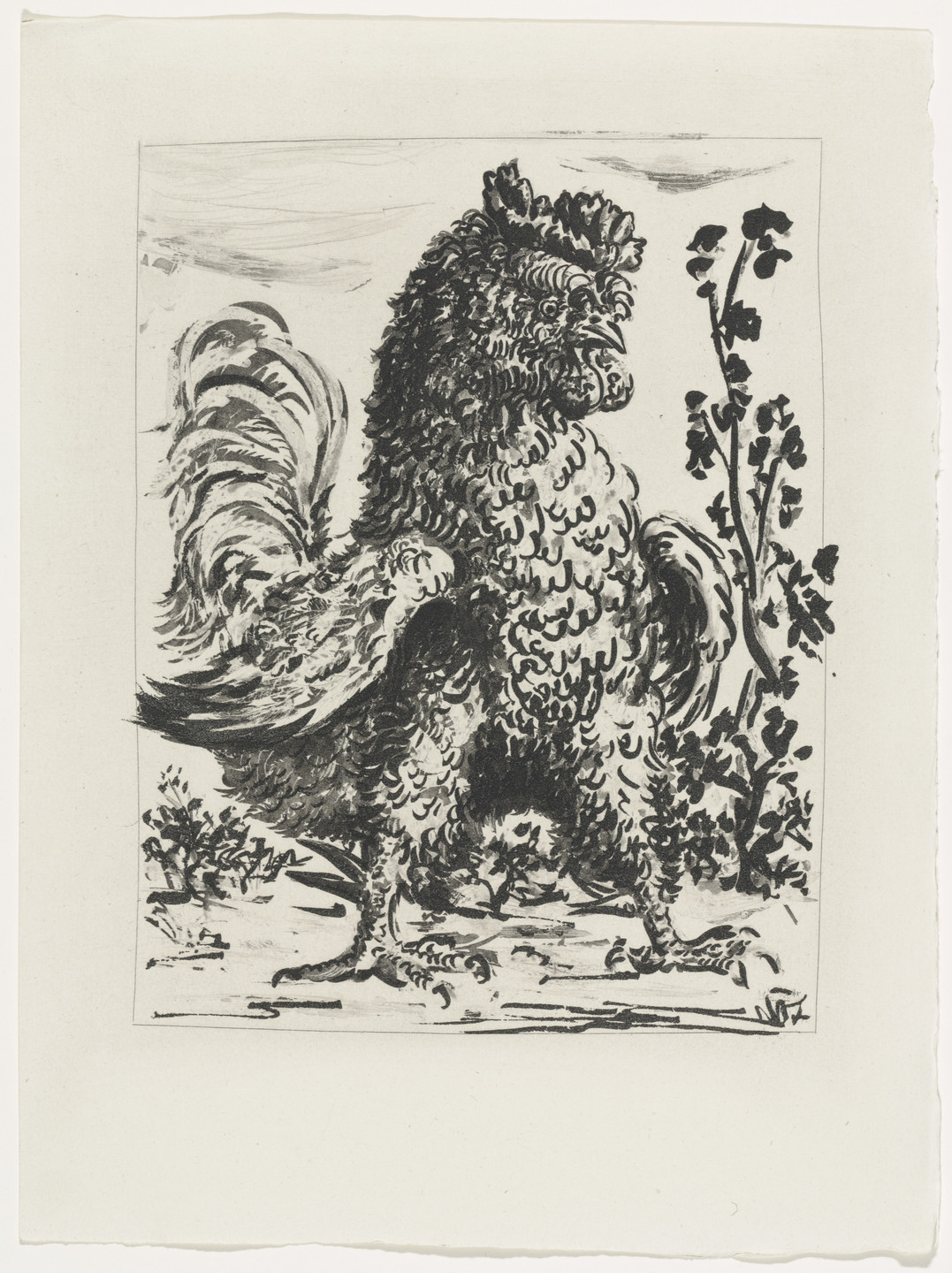 Pablo Picasso. The Cock (Le Coq) (plate, facing page 112) from Eaux-fortes originale pour des textes de Buffon (Histoire naturelle). 1936, published 1942