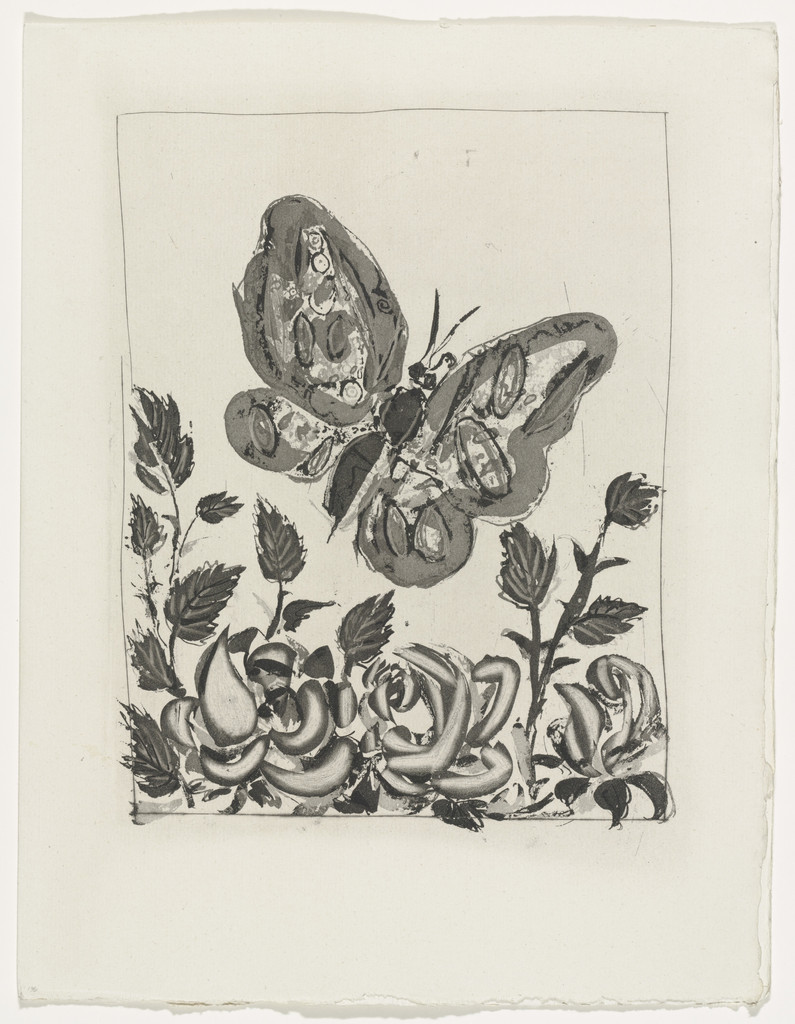 The Butterfly (Le Papillon) (plate, facing page 138) from Eaux-fortes originale pour des textes de Buffon (Histoire naturelle)