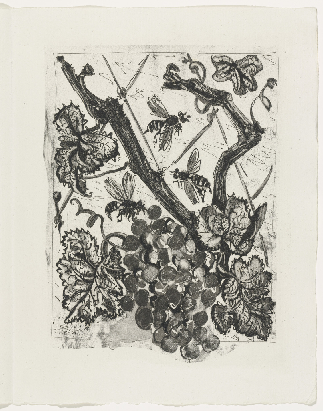 Pablo Picasso. The Wasp (La Guêpe) (plate, facing page 140) from Eaux-fortes originale pour des textes de Buffon (Histoire naturelle). 1936, published 1942
