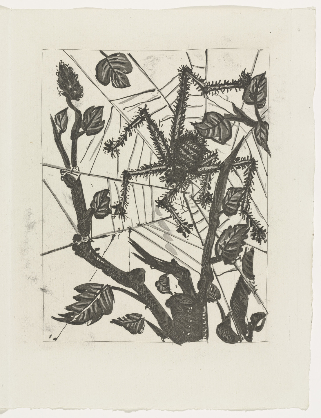 Pablo Picasso. The Spider (L&#39;Araignée) (plate, facing page 144) from Eaux-fortes originale pour des textes de Buffon (Histoire naturelle). 1936, published 1942