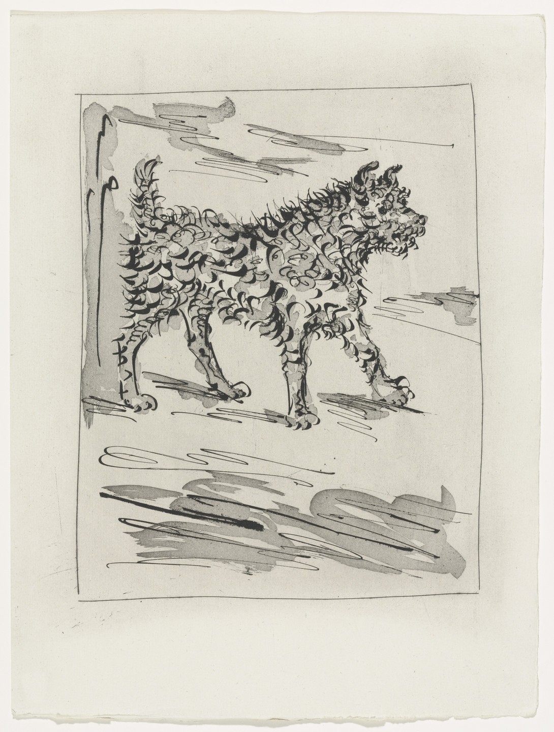 Pablo Picasso. The Dog (Le Chien) (plate, facing page 46) from Eaux-fortes originale pour des textes de Buffon (Histoire naturelle). 1936, published 1942