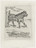 Pablo Picasso. The Dog (Le Chien) (plate, facing page 46) from Eaux-fortes originale pour des textes de Buffon (Histoire naturelle). 1936, published 1942
