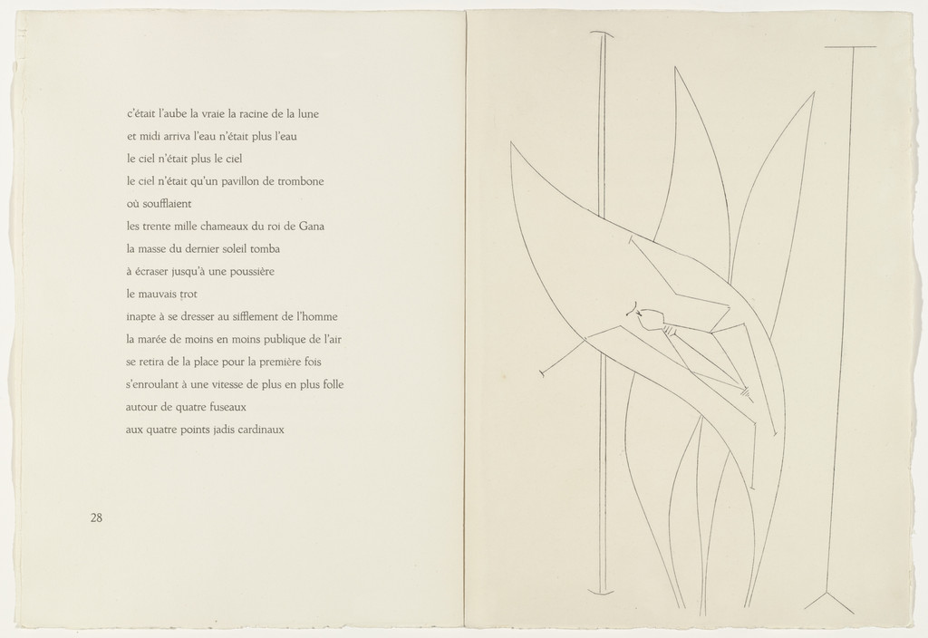 Leaf and Insect (plate, page 29) from Corps perdu