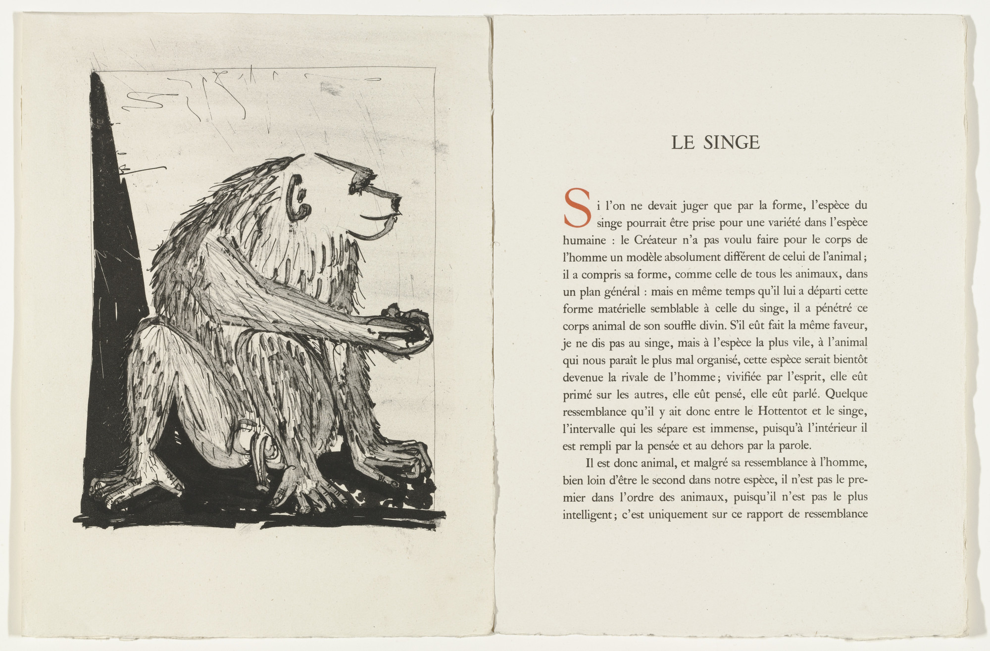 Pablo Picasso. The Monkey (Le Singe) (plate facing page 86) from Eaux-fortes originale pour des textes de Buffon (Histoire naturelle). 1936, published 1942