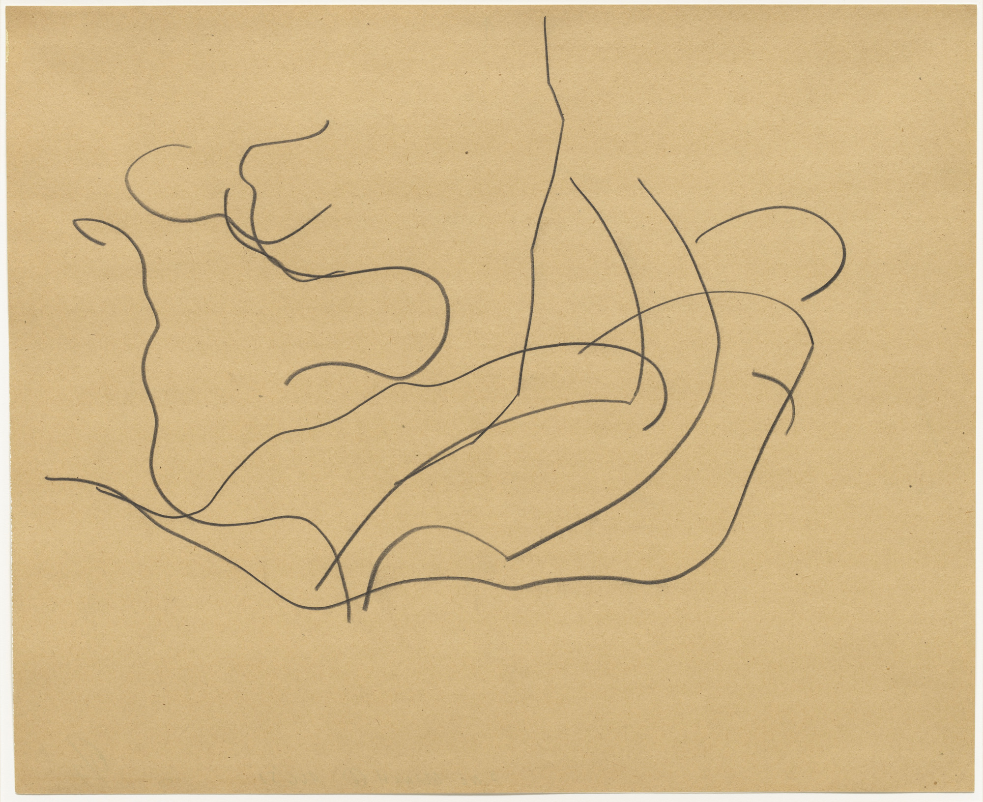 Ellsworth Kelly. Automatic Drawing: Pine Branches VI. 1950 | MoMA