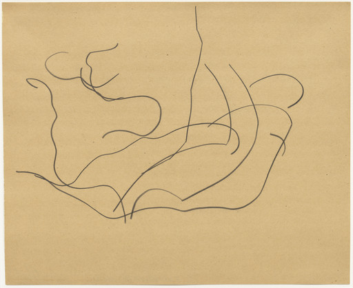 ellsworth kelly drawings リトグラフ　額装品 Ellsworth Kelly. Automatic Drawing: Pine Branches VI. 1950 | MoMA