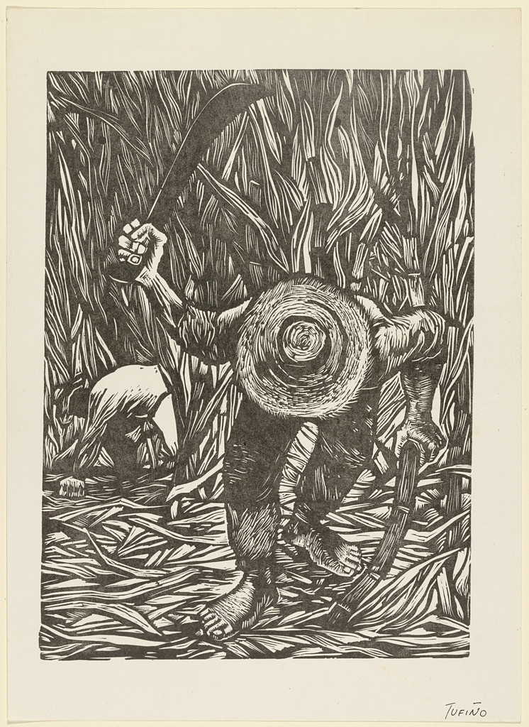 Sugar Cane Harvesters