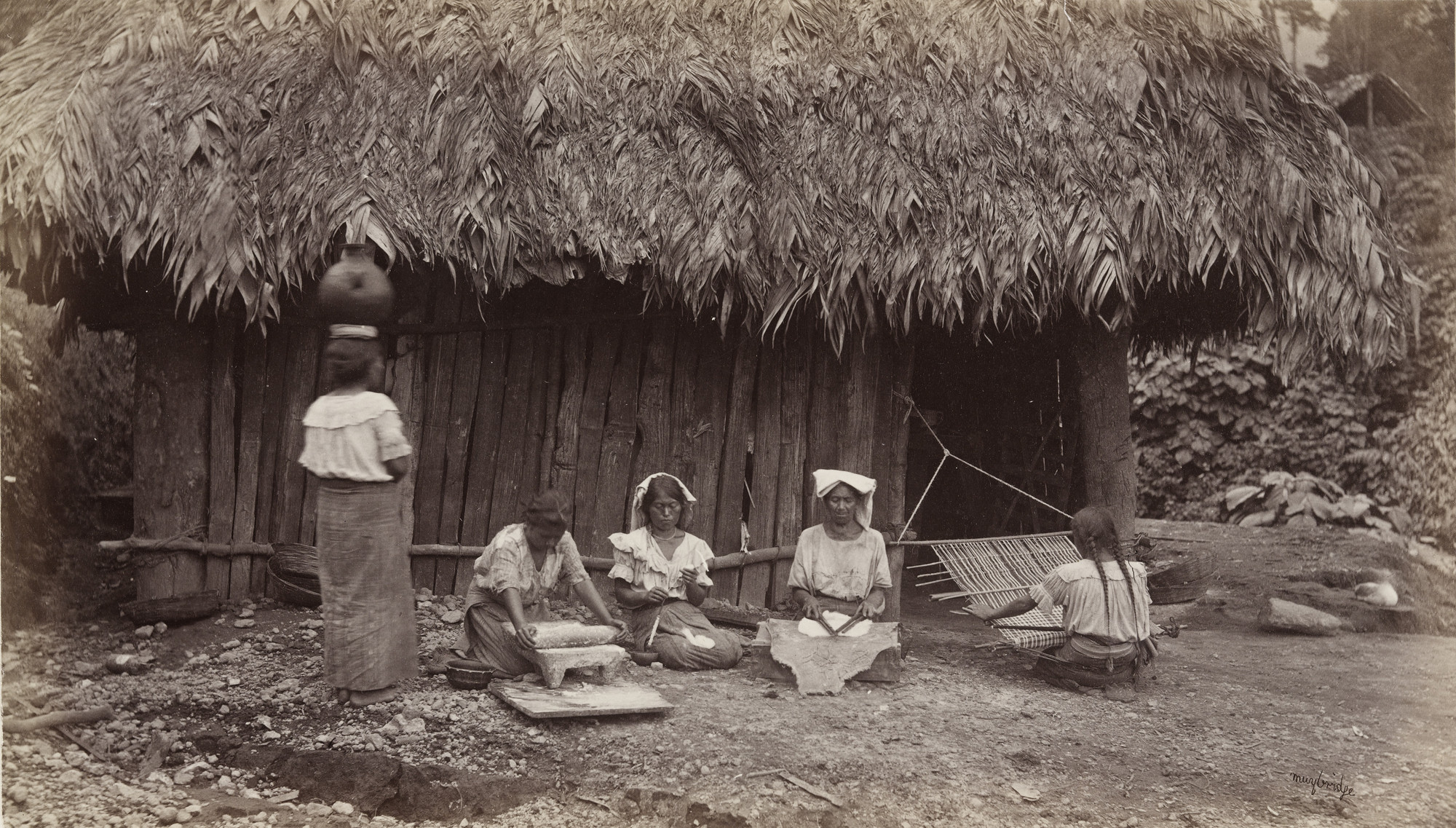 Eadweard J. Muybridge. Domestic Occupations of the Coffee Pickers, Las Nubes