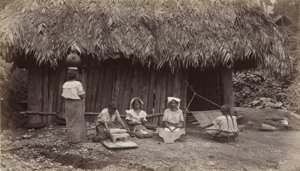 Domestic Occupations of the Coffee Pickers, Las Nubes