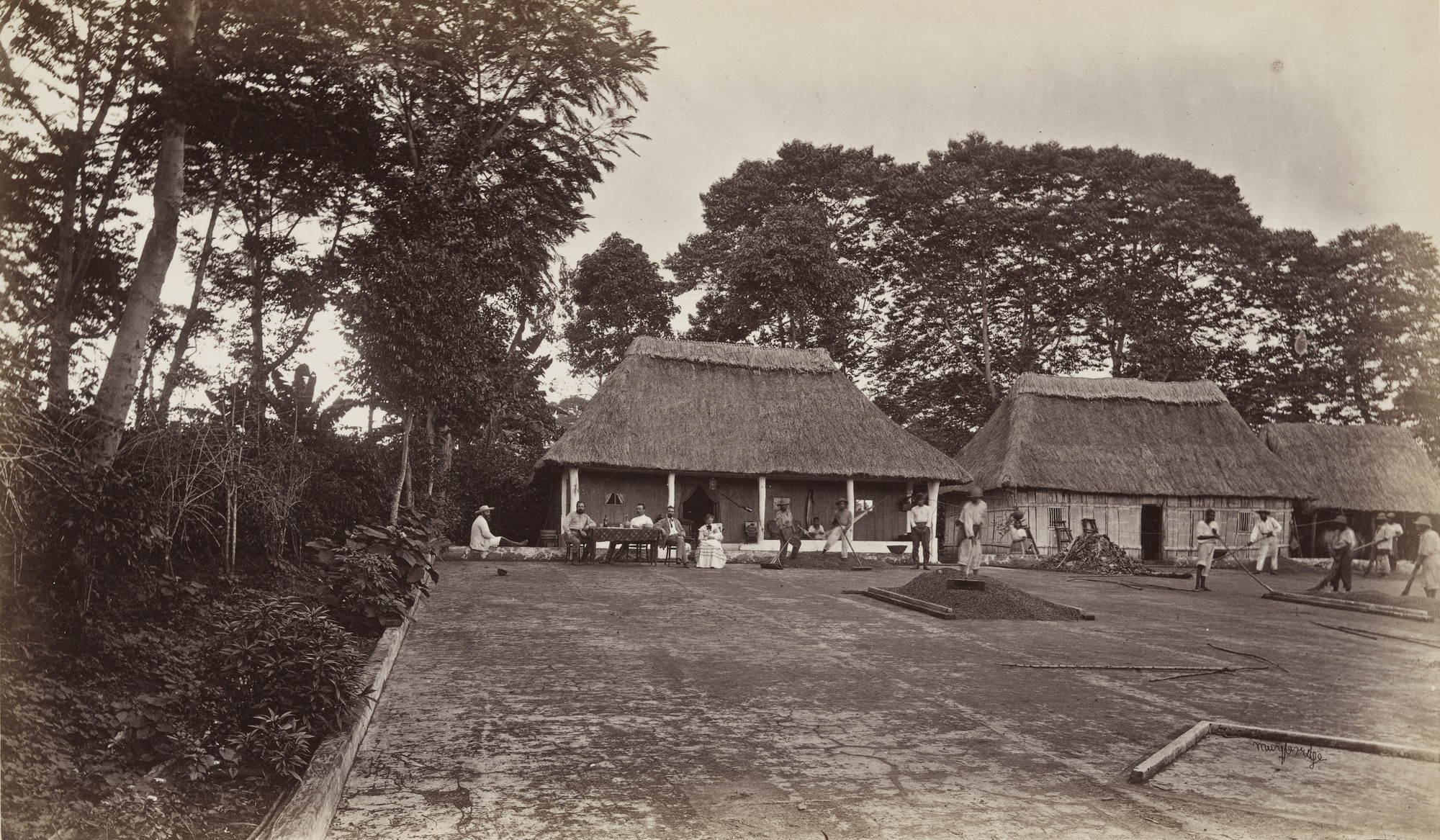 Eadweard J. Muybridge. Coffee Planters' Residence, San Felipe