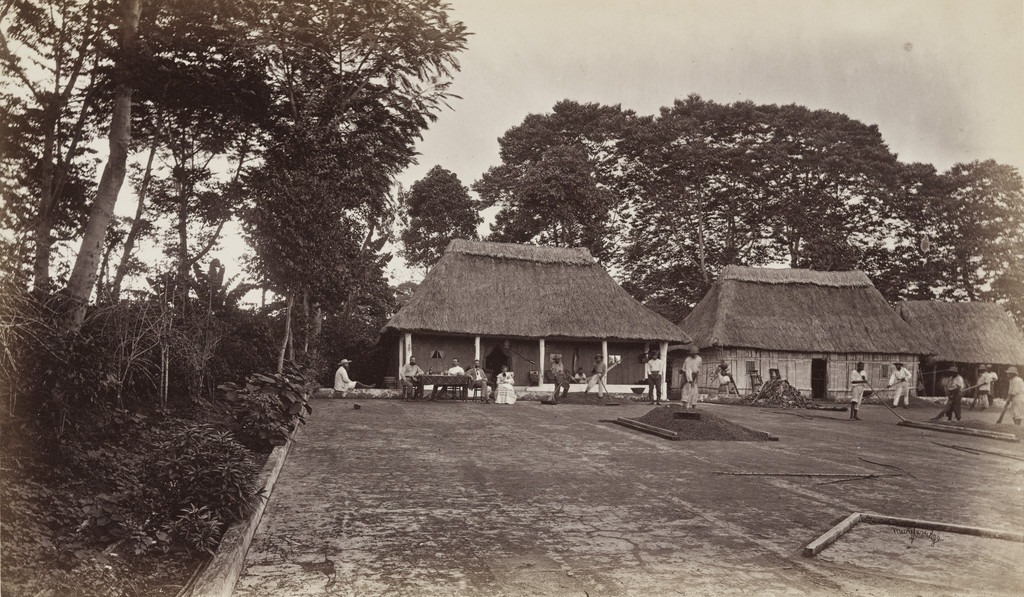 Coffee Planters' Residence, San Felipe