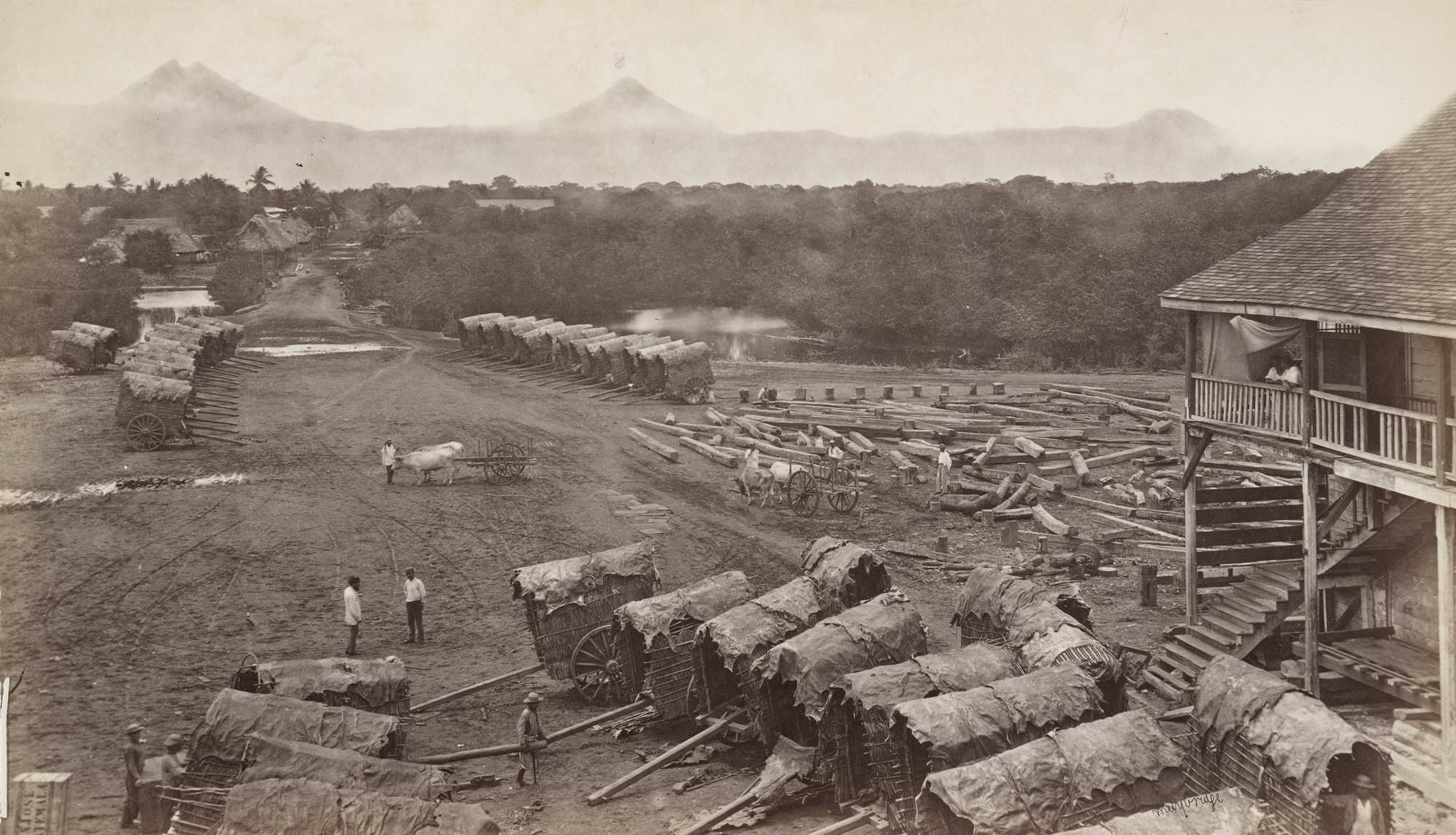 Eadweard J. Muybridge. Arrival of Coffee Carts at San Jose