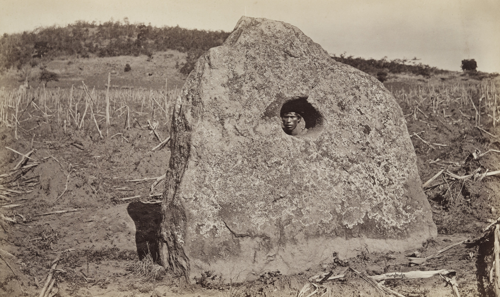 Eadweard J. Muybridge. Ancient Sacrificial Stone, Naranjo