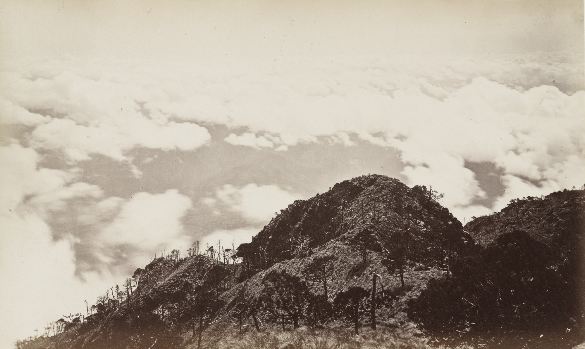 Eadweard J. Muybridge. A Sea of Clouds from Volcan Agua
