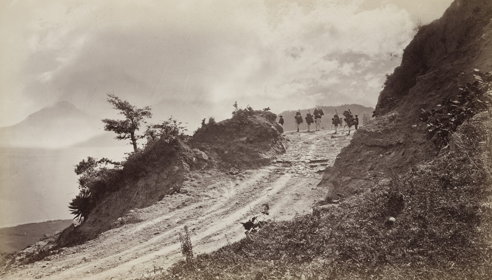 Eadweard J. Muybridge. Caryodors on the Solola Trail