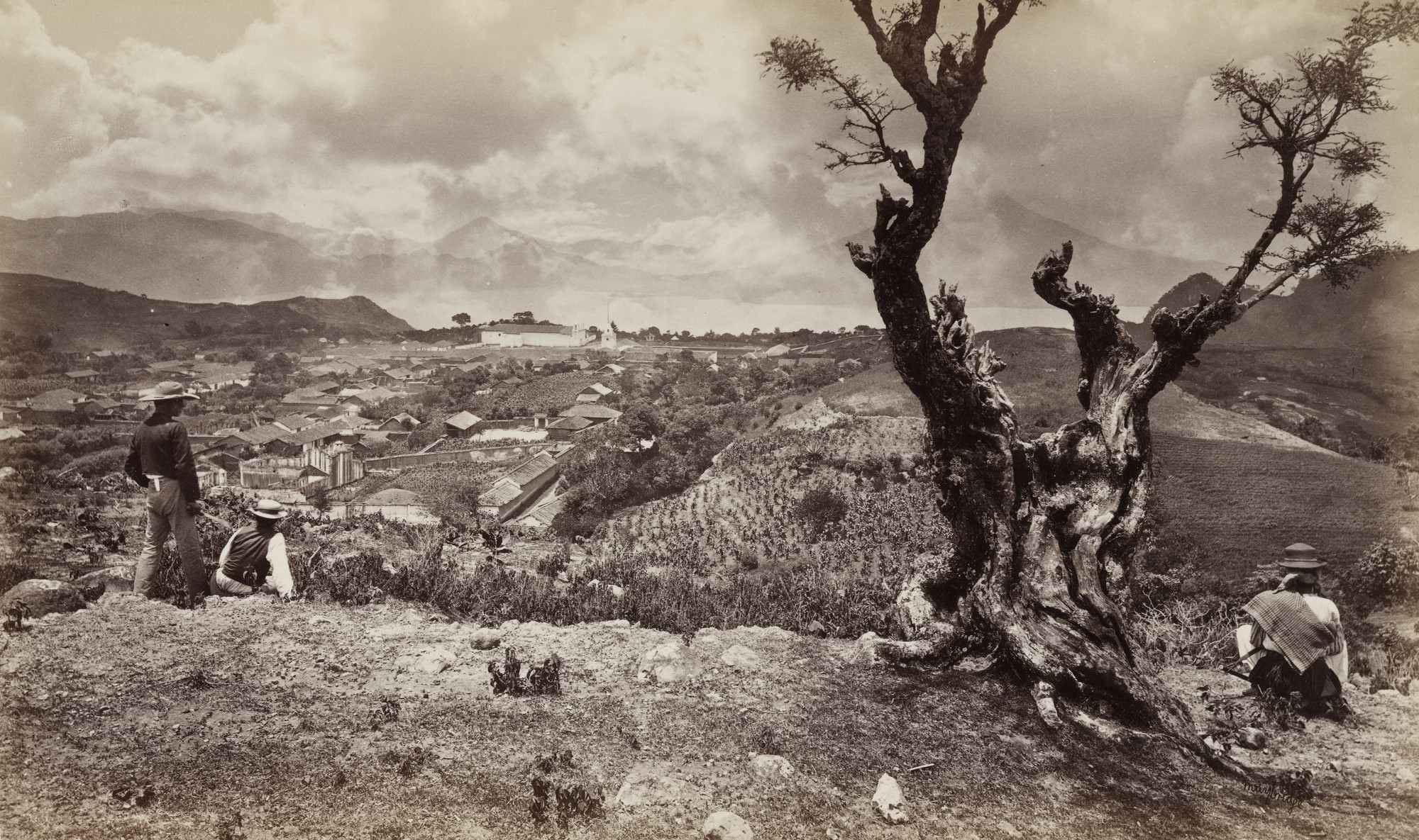 Eadweard J. Muybridge. Solola