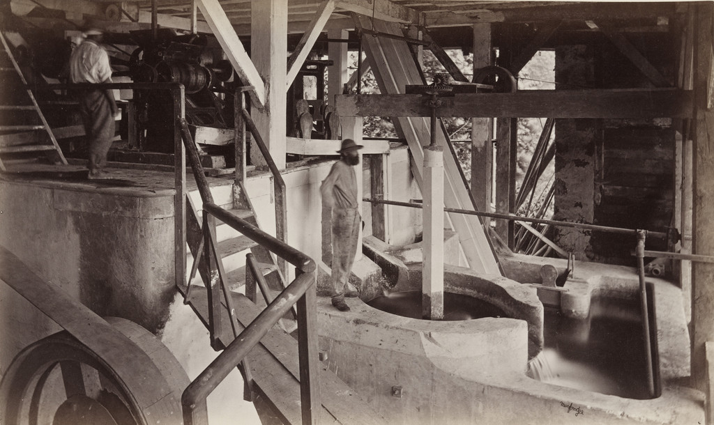 Machinery for Pulping Coffee