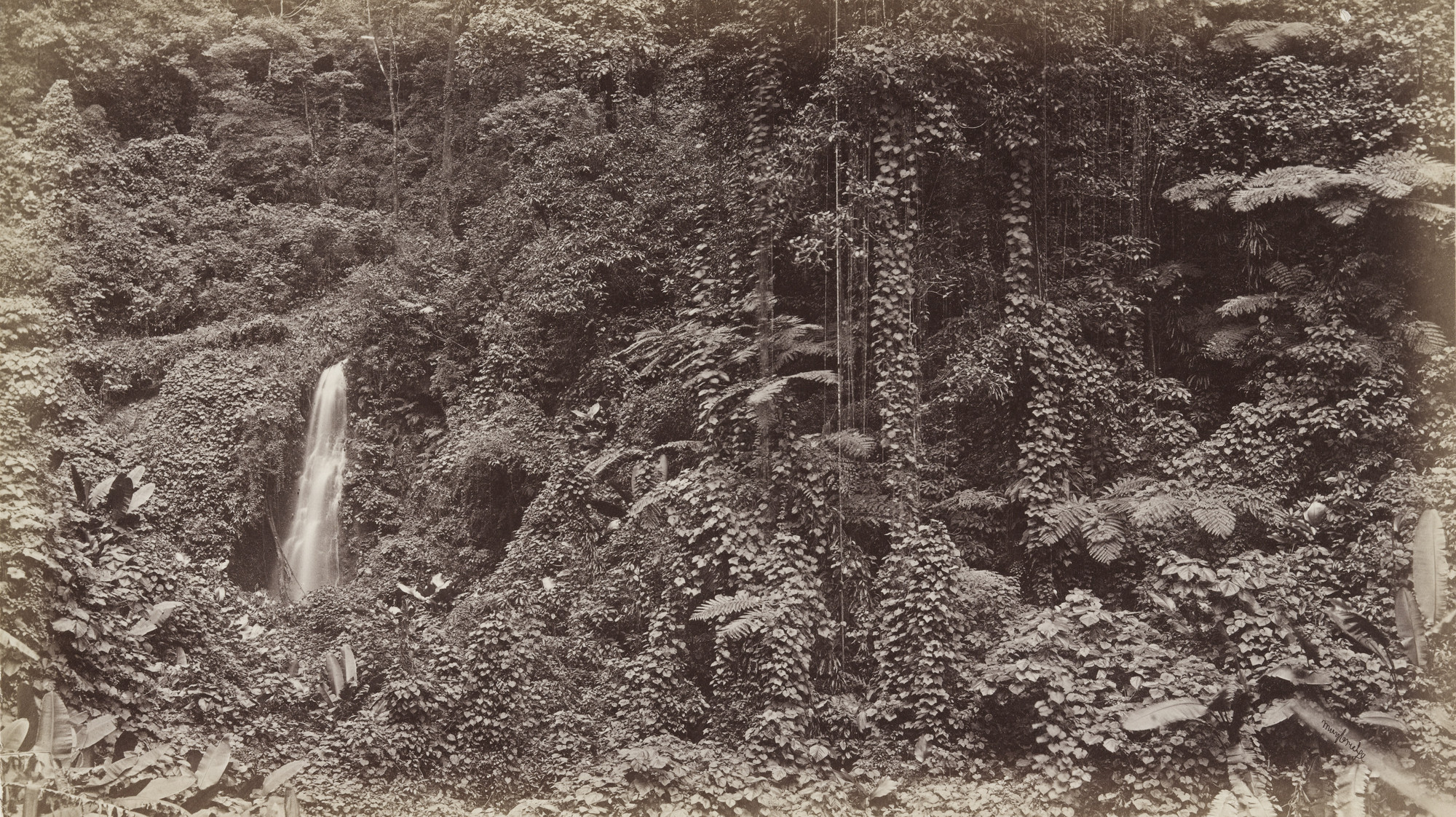 Eadweard J. Muybridge. Falls of the Delia, Las Nubes