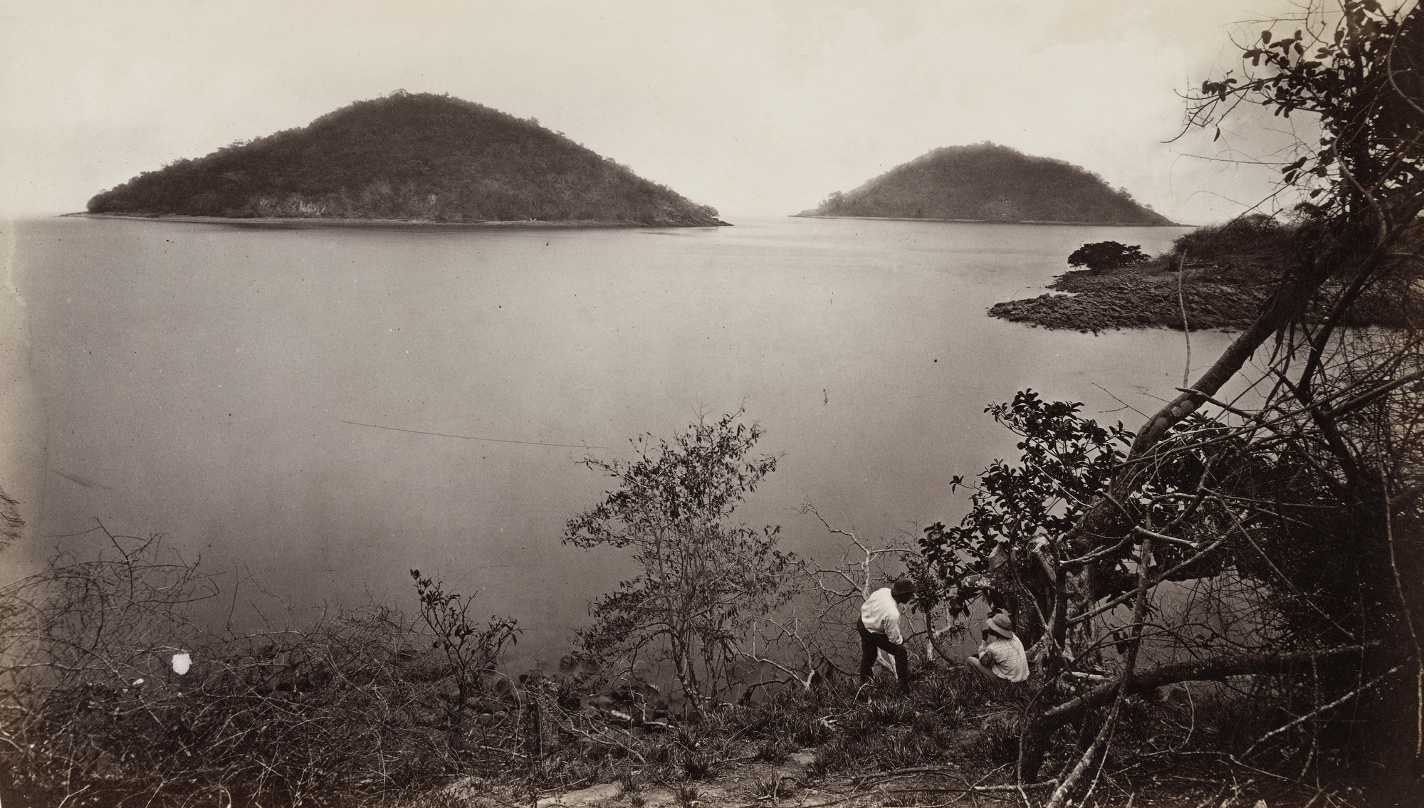 Eadweard J. Muybridge. Perico and Flamingo from the Island of Nao