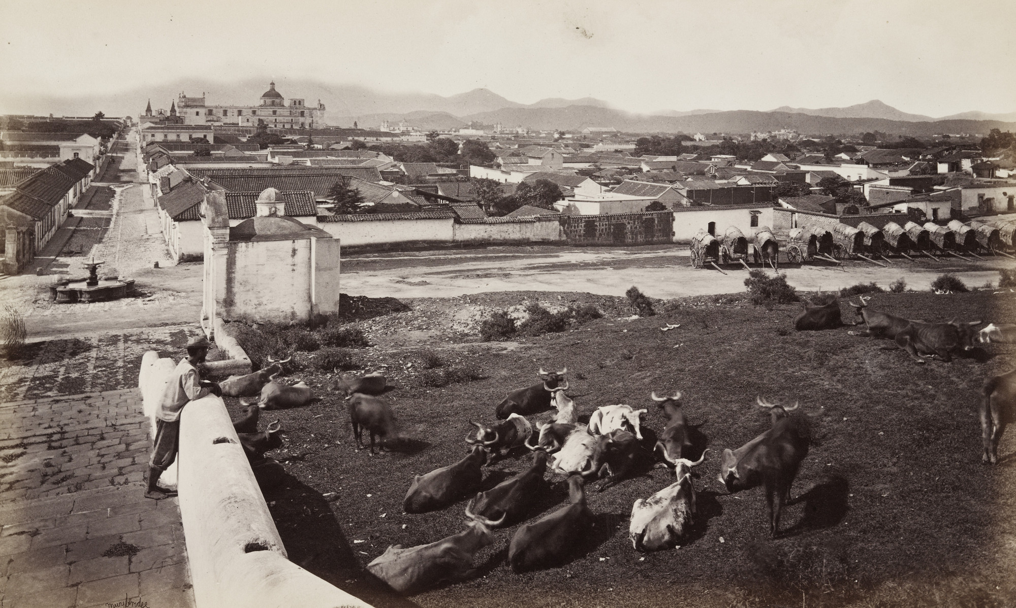 Eadweard J. Muybridge. City of Guatemala from Calvario