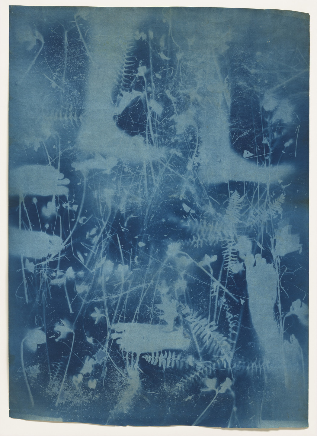 Robert Rauschenberg, Susan Weil. Untitled. c. 1950